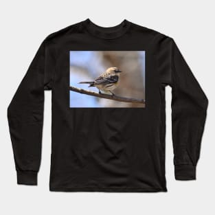 Yellow rumped Warbler Long Sleeve T-Shirt